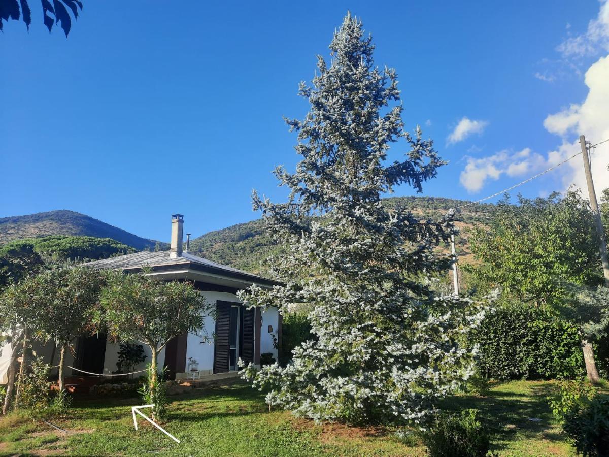 Casetta In Collina Sezze Eksteriør bilde